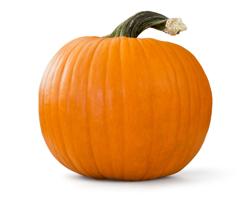 pumpkin can eat during pregnancy